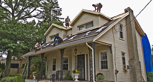 Best Storm Damage Roof Repair  in Altamont, NY